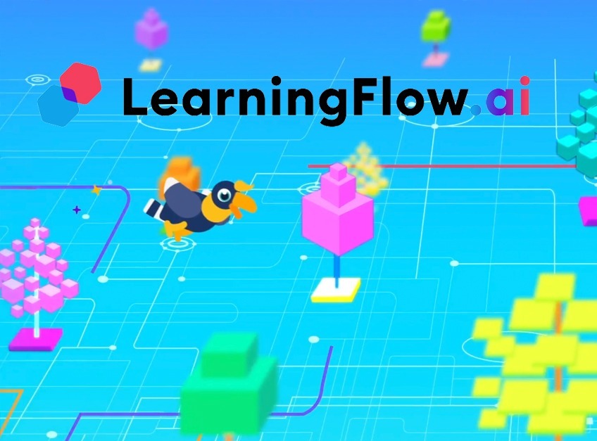 Learning Flow